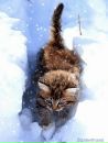 Фотография Дмитриевой Виктории