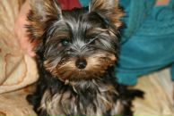 Виктор Андросов фотография #7 (источник - https://vk.com/id1914610)