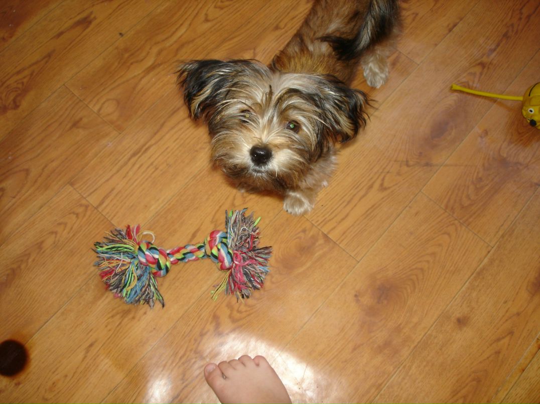 Иван Андреев фотография #34