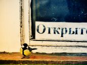 Фотография Багары Любови