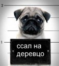 Фотография Панова Дениса