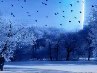 Мех Марічка фотография #25 (источник - https://vk.com/id137367509)