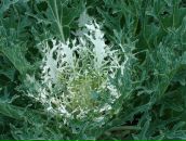 Дмитрий Иванов фотография #24 (источник - https://vk.com/id850084)