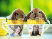 Фотография Пономаренко Елены