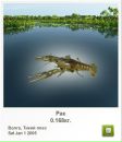 Сергій Коржан фотография #47 (источник - https://vk.com/id110134918)