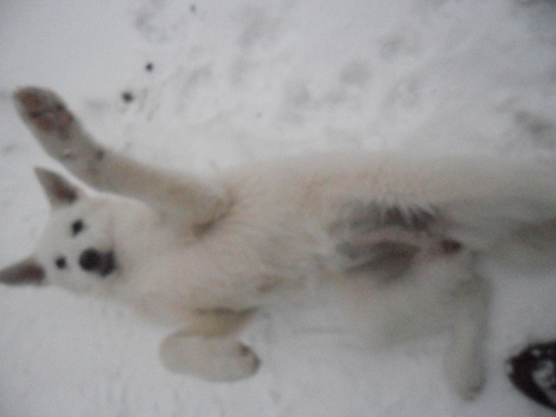 Юлька Львова фотография #13