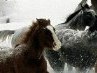 Діма Коврижко фотография #15 (источник - https://vk.com/id137778057)