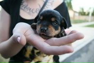 Вадім Климович фотография #46 (источник - https://vk.com/id154648110)