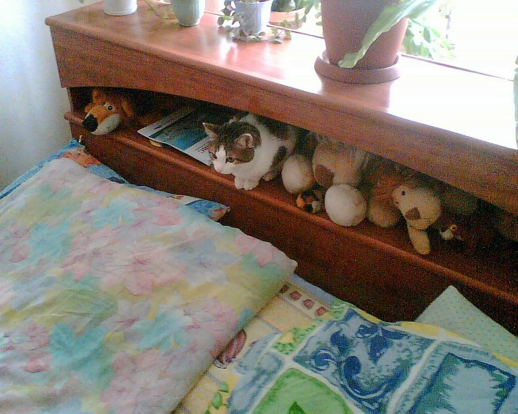 Стас Якушкин фотография #22