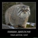 Фотография К Екатерины