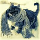 Фотография Burlakov Aleksey