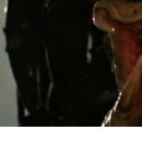 Александр Κонстантинов фотография #7 (источник - https://vk.com/id148892997)