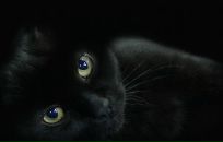 Фотография Горяновой Галины