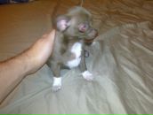 Фотография Грицковой Ольги