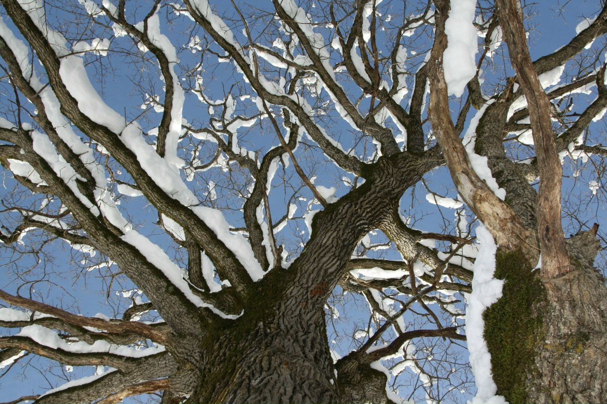 Дмитрий Нестеров фотография #48