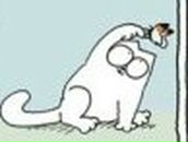 Мария Антонова фотография #21 (источник - https://vk.com/id138564250)