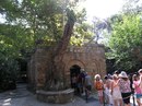 Akın Sen фотография #35 (источник - https://vk.com/id154963116)