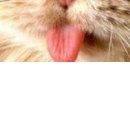 Настінька Каменскіх фотография #12 (источник - https://vk.com/id143328636)