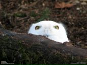 Фотография Лепешевой Анны