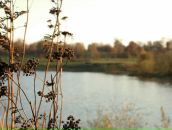 Рю Мураками фотография #22 (источник - https://vk.com/id2067589)