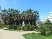 Иван Волков фотография #28 (источник - https://vk.com/id9457465)