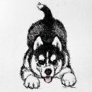 Фотография Стрельцовой Виктории