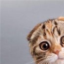 Антон Коваль фотография #50 (источник - https://vk.com/id152000495)