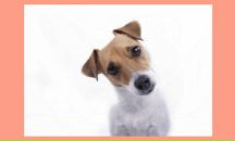 Фотография Андреева Андрея