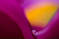 Мари Гальянова фотография #36 (источник - https://vk.com/id144434)