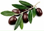 Фотография Васильевой Марины