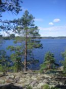 Евгений Юр фотография #18 (источник - https://vk.com/id2420751)