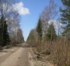 Ol Ya фотография #45 (источник - https://vk.com/id155786)