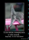 Фотография Платошиной Юлии