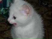 Фотография Загоруйко Дениса