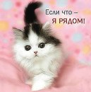 Лілюсік Пусік фотография #24 (источник - https://vk.com/id169529412)