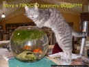 Іван Гайдук фотография #14 (источник - https://vk.com/id60653686)