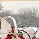 Іван Бігун фотография #50 (источник - https://vk.com/id125007225)