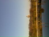 Ваня Онопрієнко фотография #27 (источник - https://vk.com/id61177835)