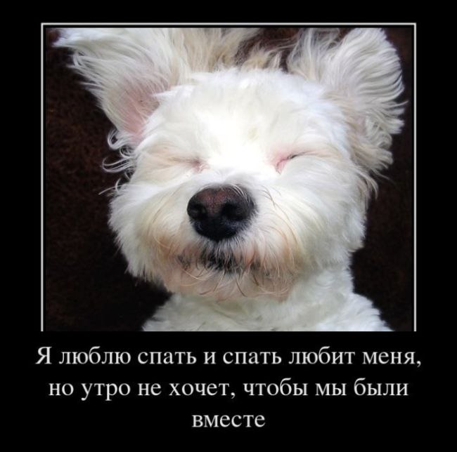 Георгий Гвоздев фотография #25