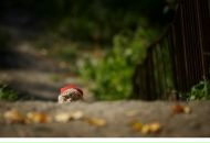 Фотография Петрова Евгения