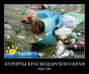 Білогаш Сергій фотография #20 (источник - https://vk.com/id32135284)