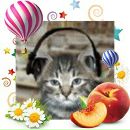 Alex Fox фотография #35 (источник - https://vk.com/id40662)