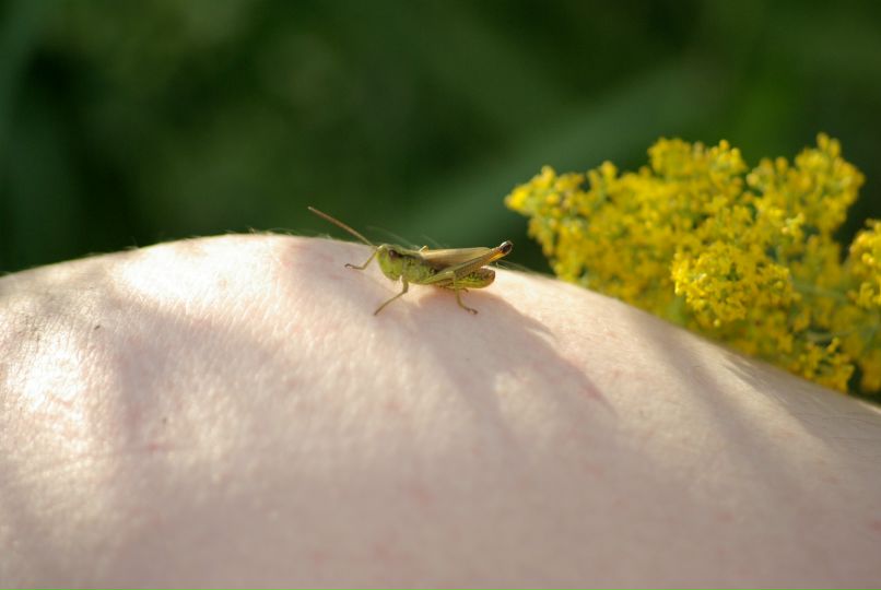 Таня Василенко фотография #2