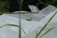 Андрій Світлицький фотография #17 (источник - https://vk.com/id2321783)