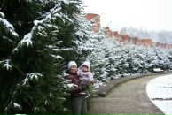 Фотография Rastrigina Lena