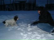 Вітальчик Бундз фотография #5 (источник - https://vk.com/id164340103)