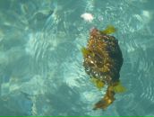 Фотография Соколовой Яны