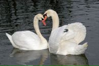 Фотография Красновой Анны