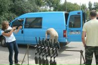 Богдан Макогін фотография #30 (источник - https://vk.com/id20146646)