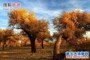 茹 贾 фотография #33 (источник - https://vk.com/id148943471)